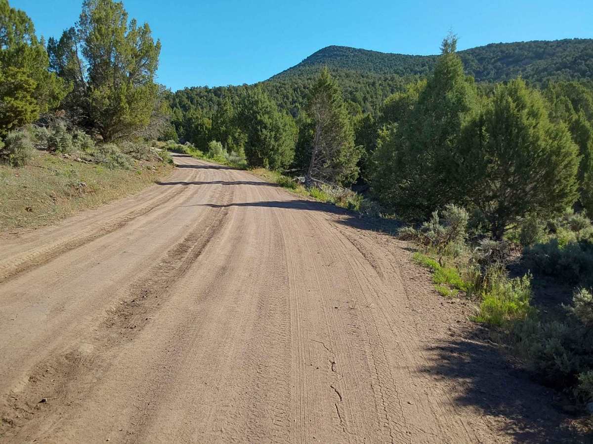 Paiute Trail #15 to Paiute Trail #6 trail photo