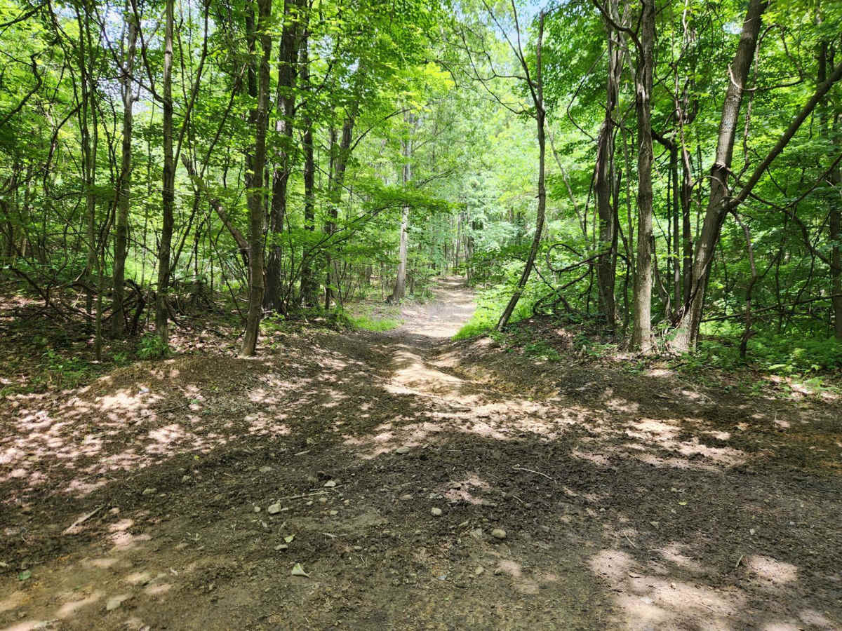 Trail 4 - Rock Run Recreation Area photo 3