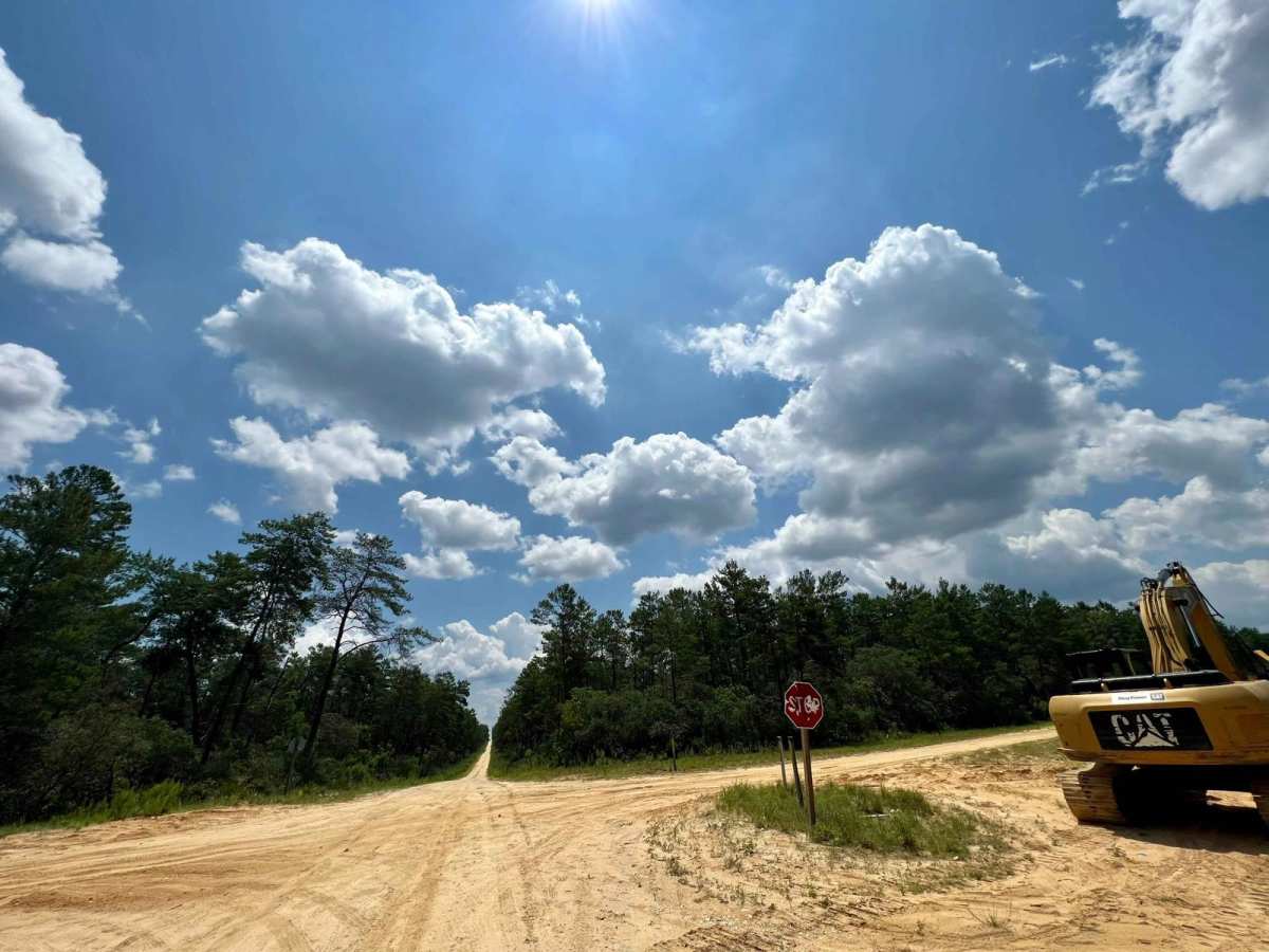 Ocala National Forest | Trail 38 photo 4