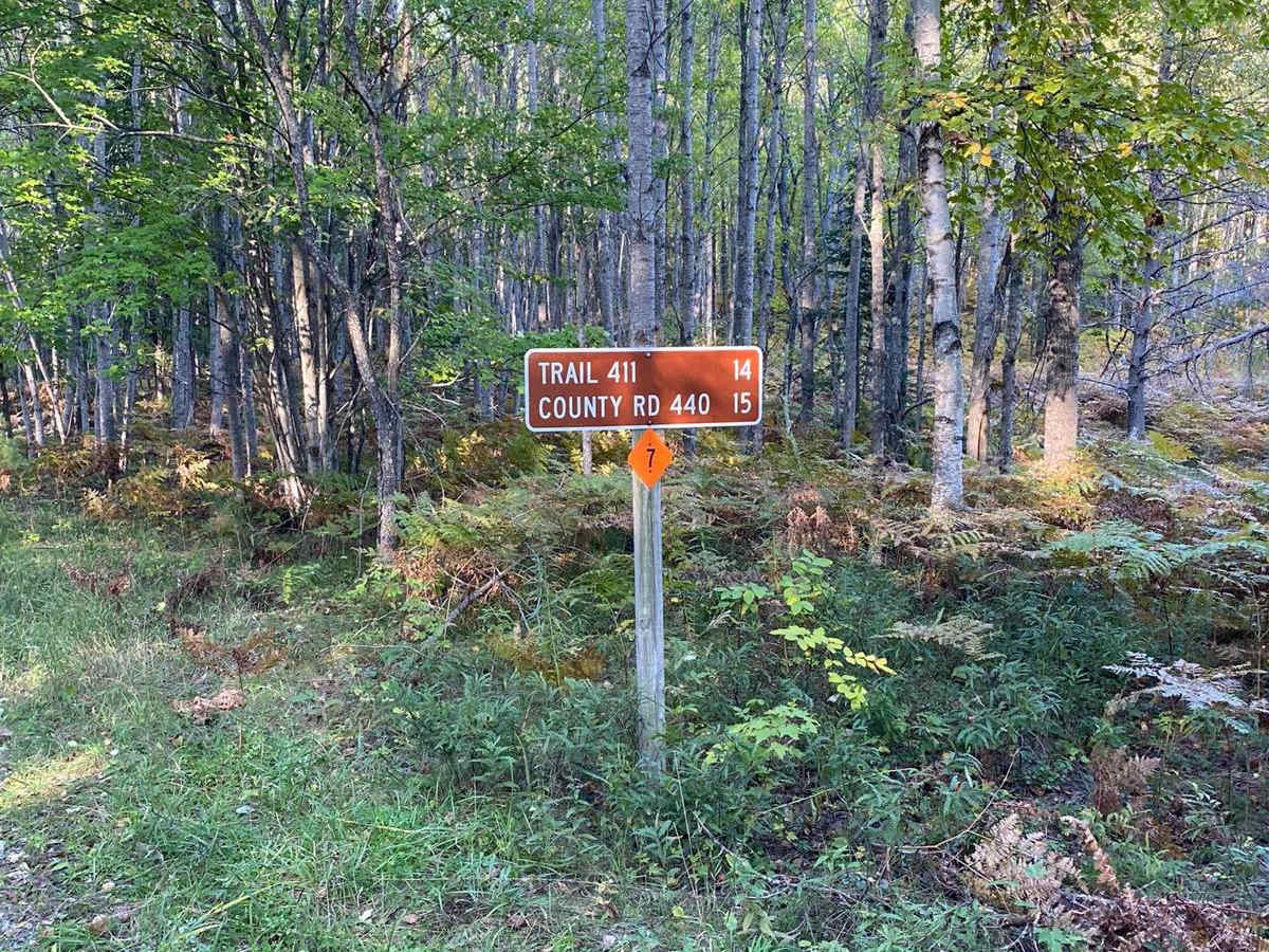 Murphy CR to 35.5 Road - Part 8 trail photo