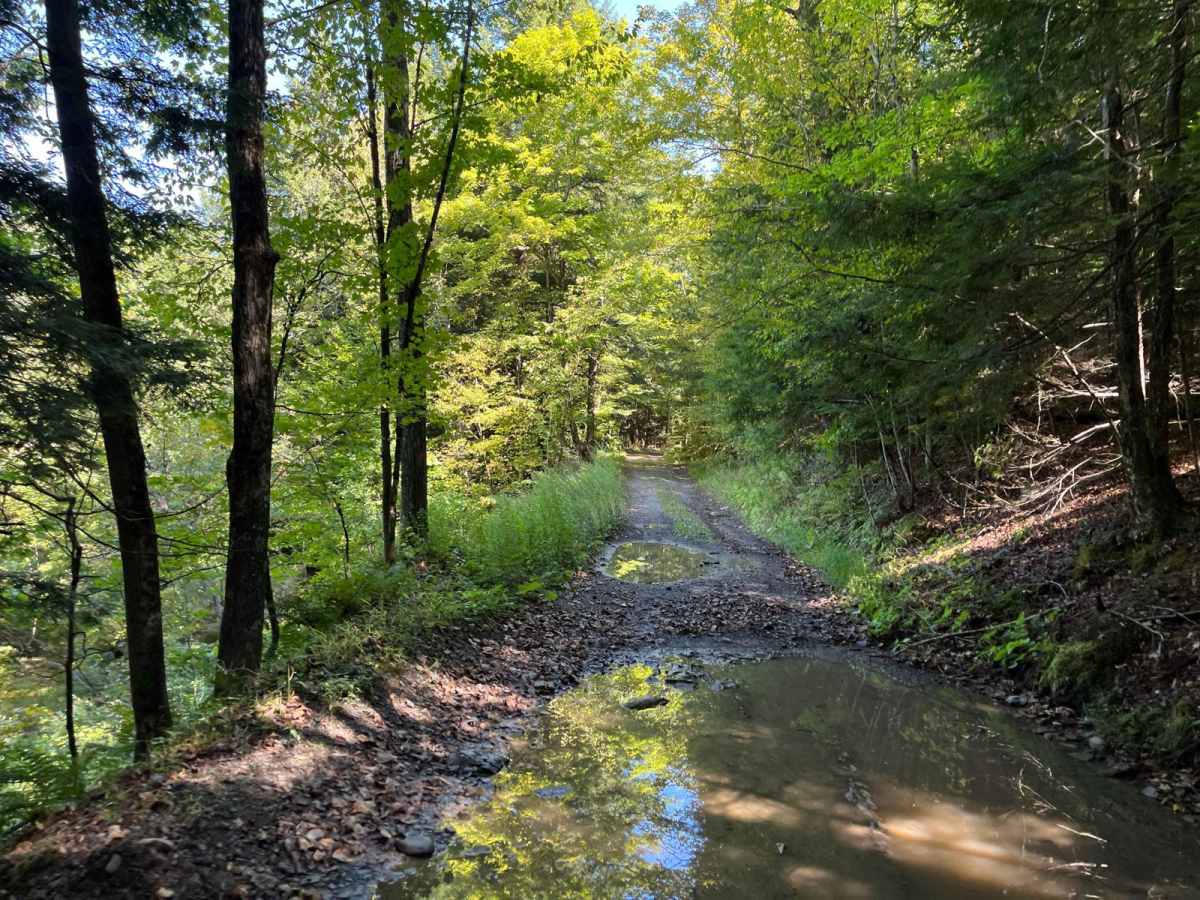 Harrison Road trail photo