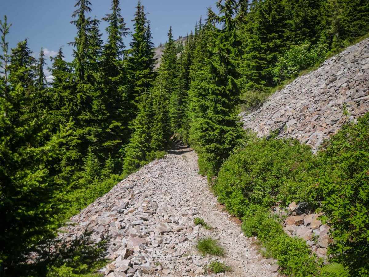 Striped Peak ATV photo 3