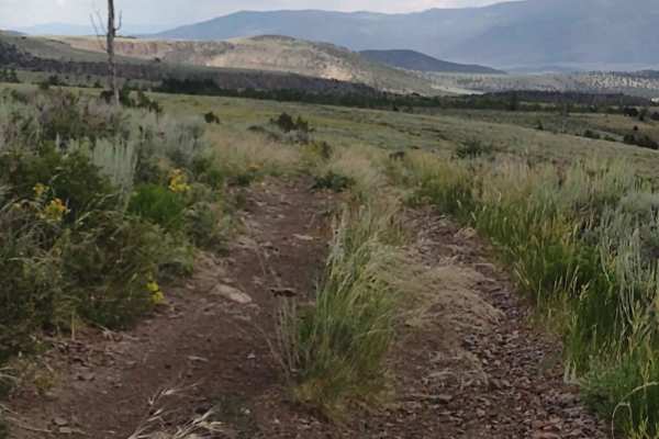 Dry Creek-Box Creek Interconnect (FS 41233)