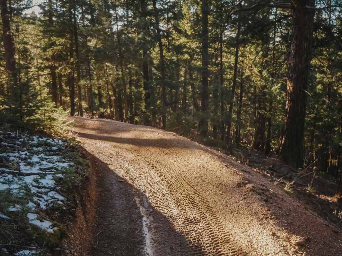 787 ATV Trail photo 2