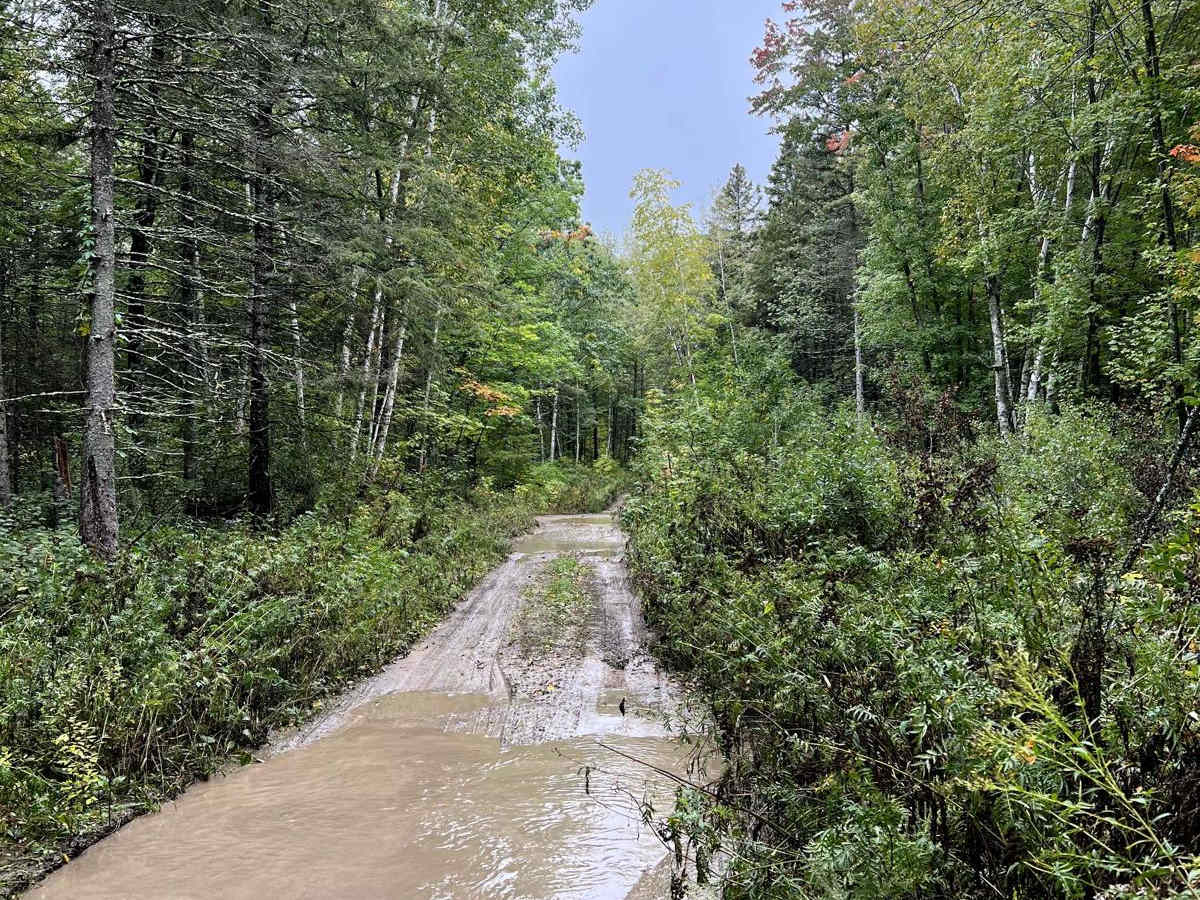 Thompson Minimum Maintenance Forest Road photo 4