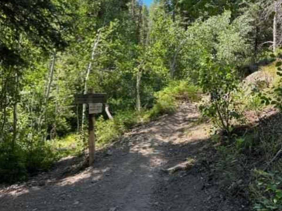Oregon Gulch to Fox Peak photo 4