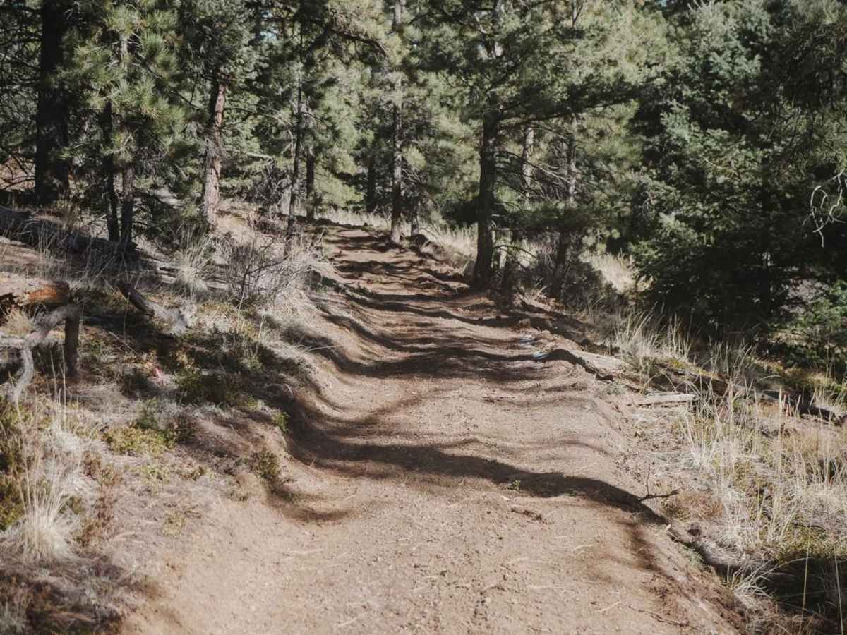 Scotty's Cutoff ATV Trail photo 3