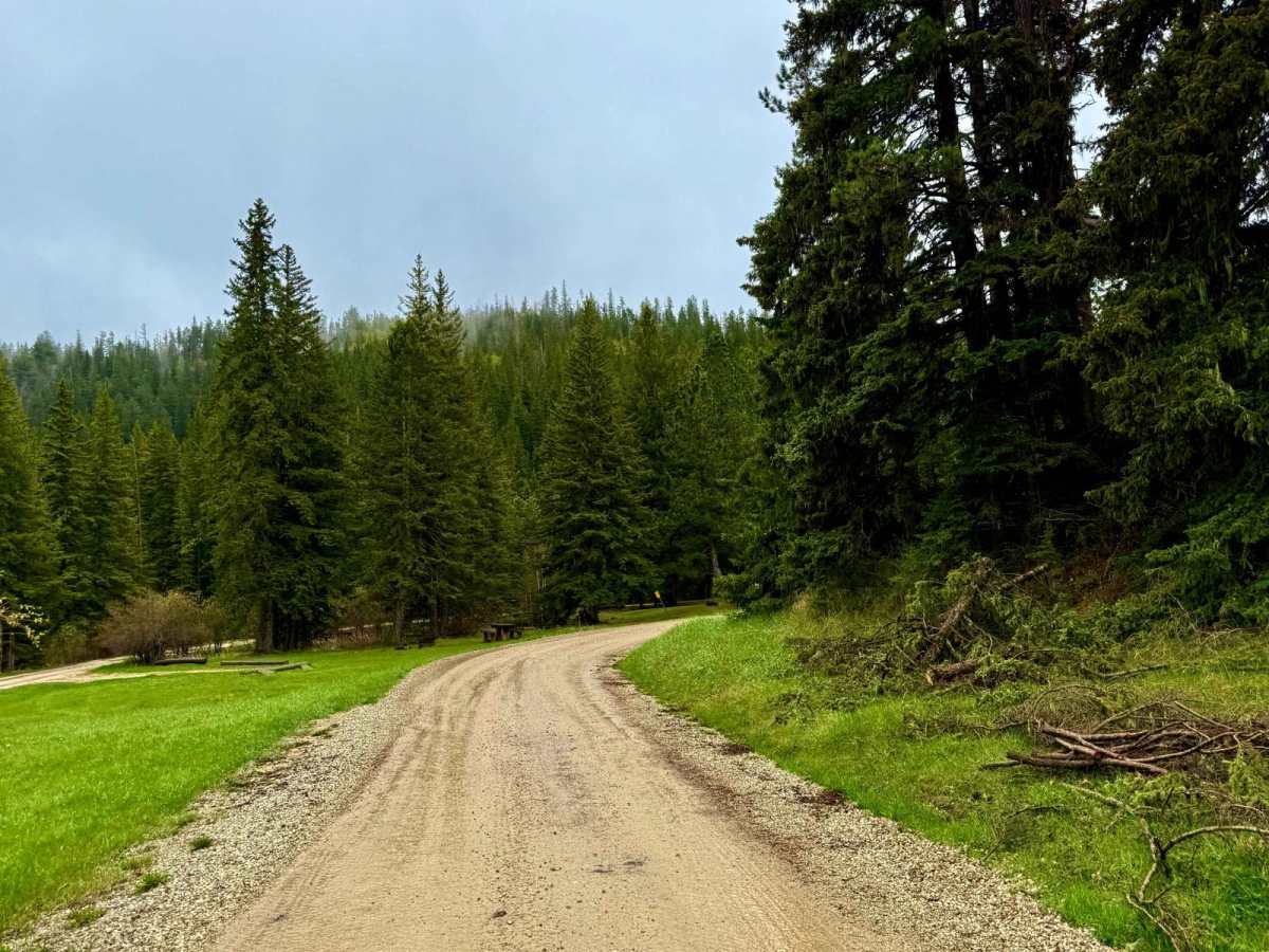 Black Fox Camp Road trail photo