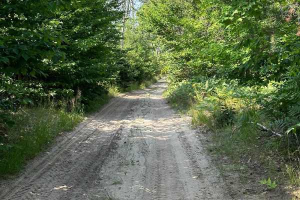 Oviatt Spur/Trail 3