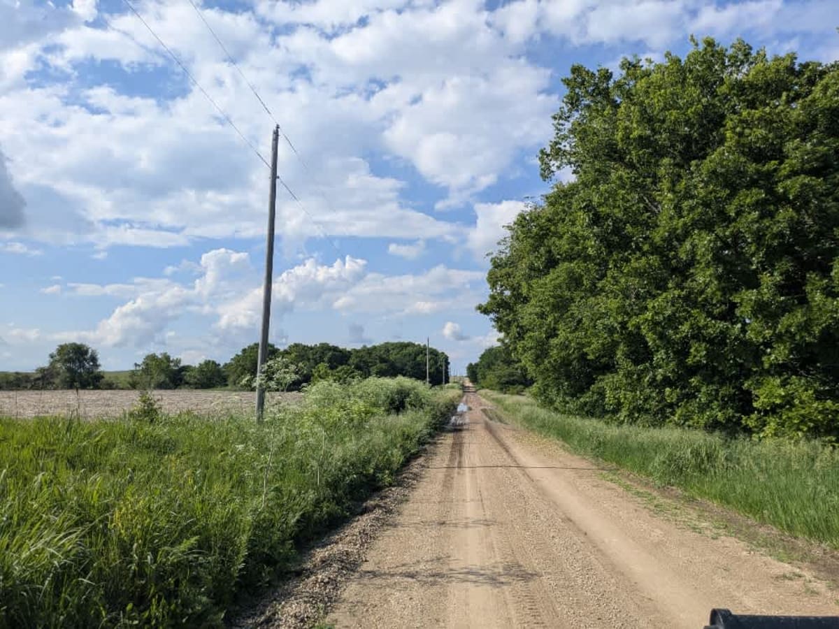 Road D trail photo