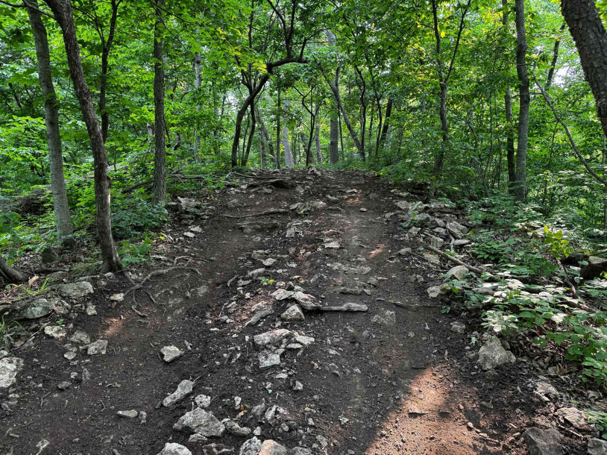 Over The Hill 135 photo 5