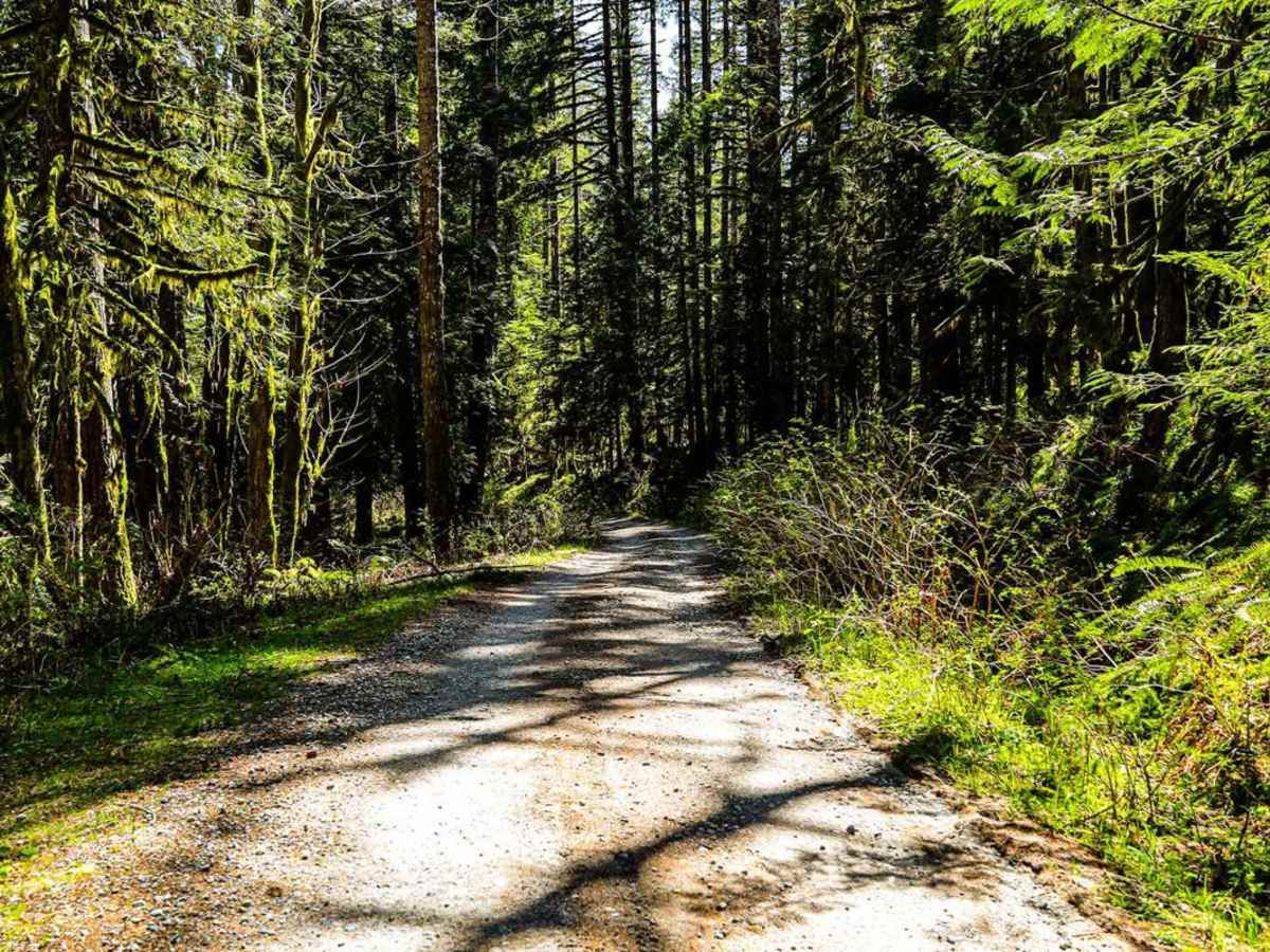 North Fork Stilly photo 4
