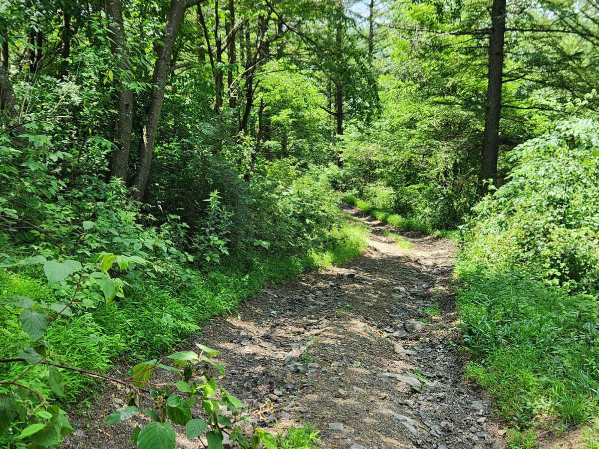 Trail 7B - Rock Run Recreation Area photo 6