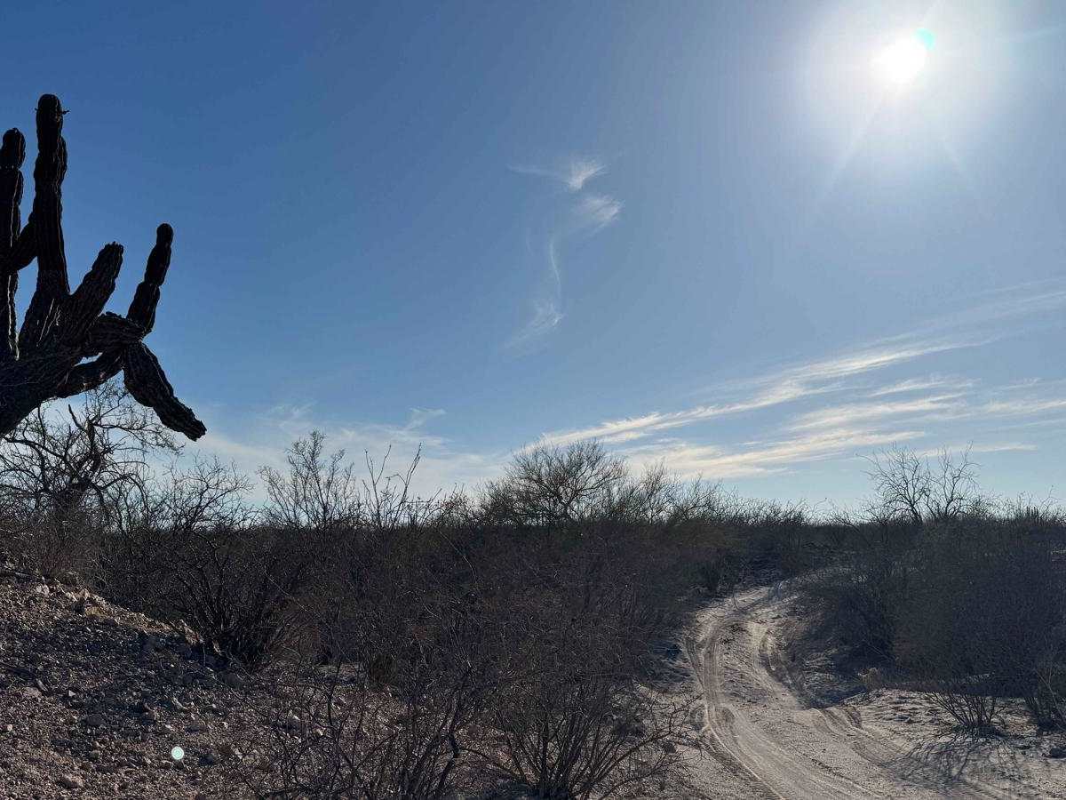 Crossover Loop trail photo