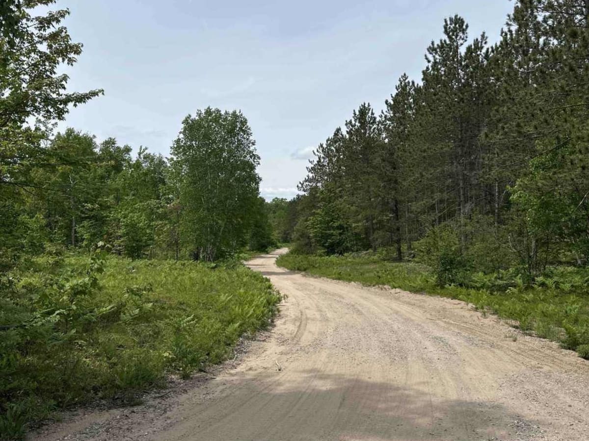 FS 3637 photo 2