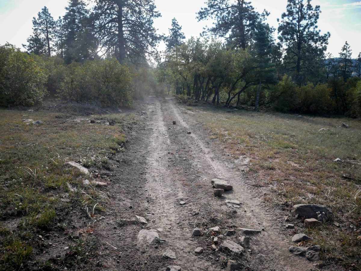 Bear Creek photo 3