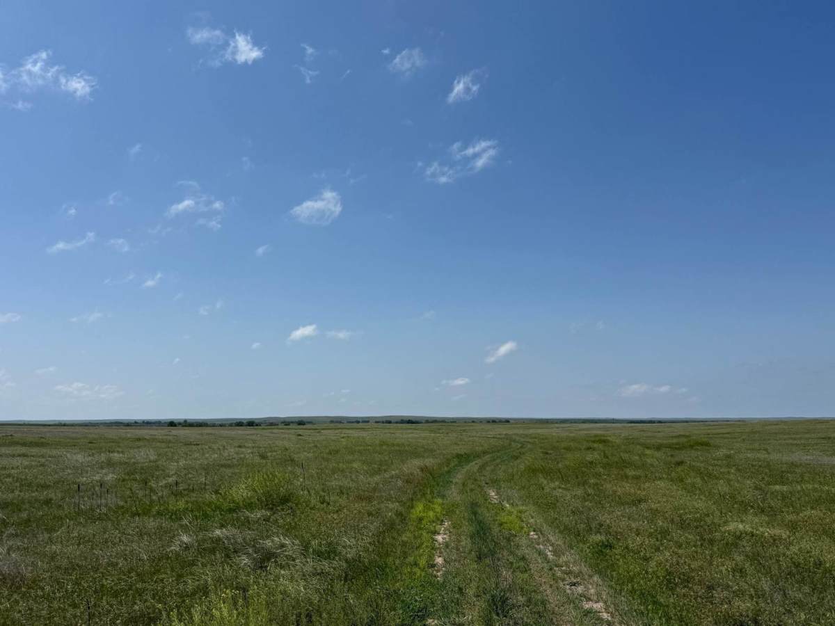 Prairie Dog - FR 925 photo 5