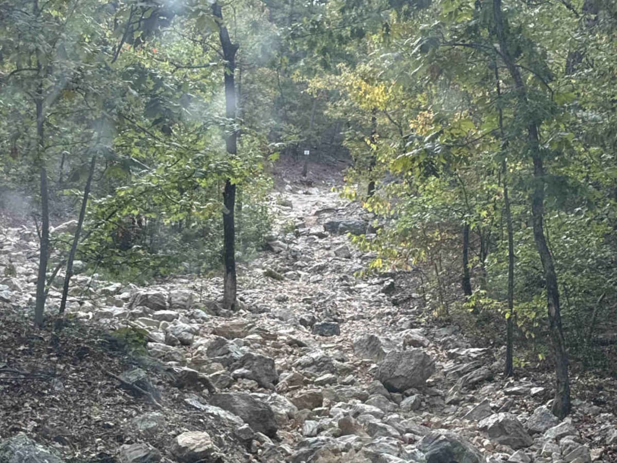Ravine photo 2