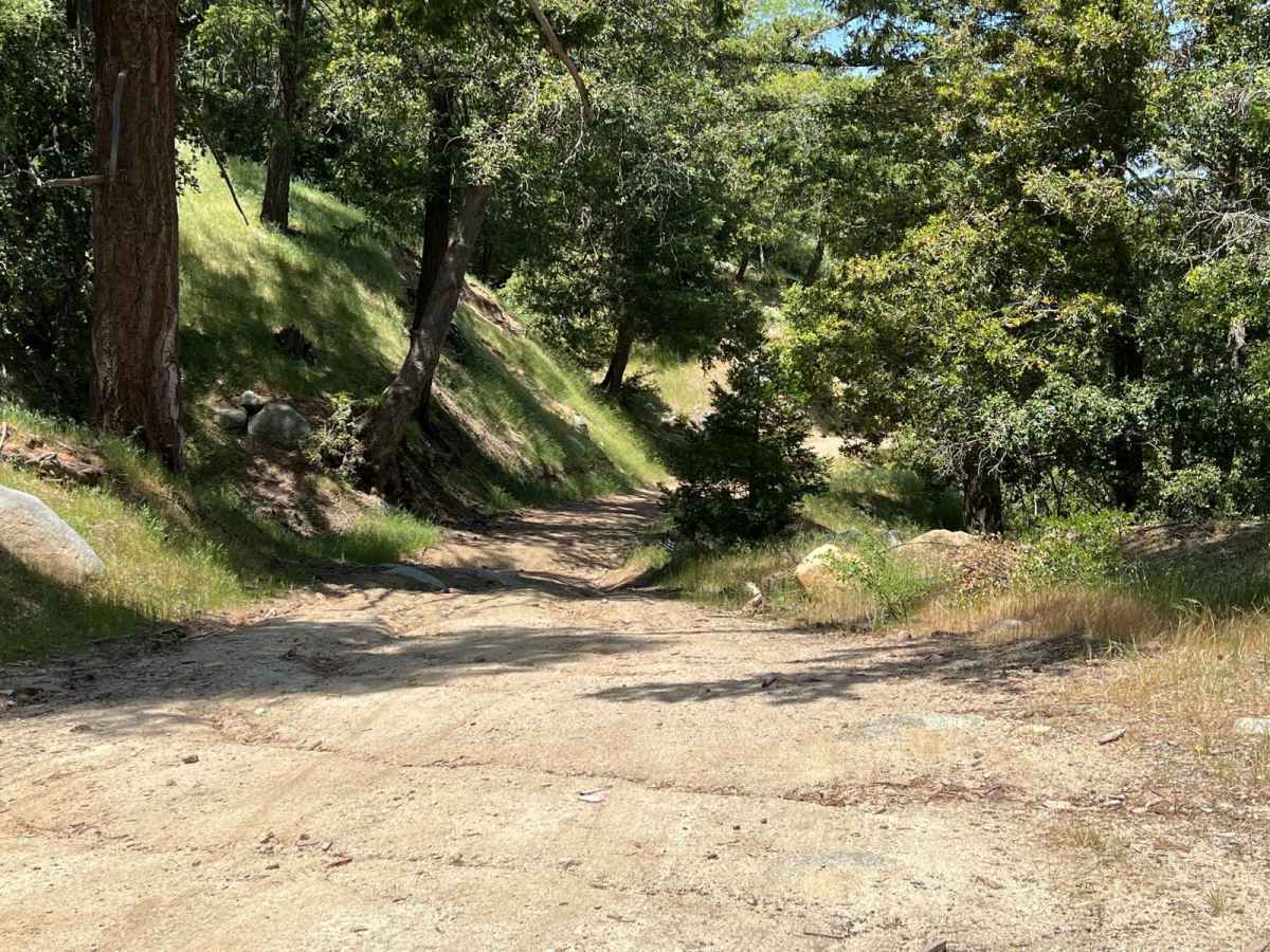 Sawpit Connector photo 6
