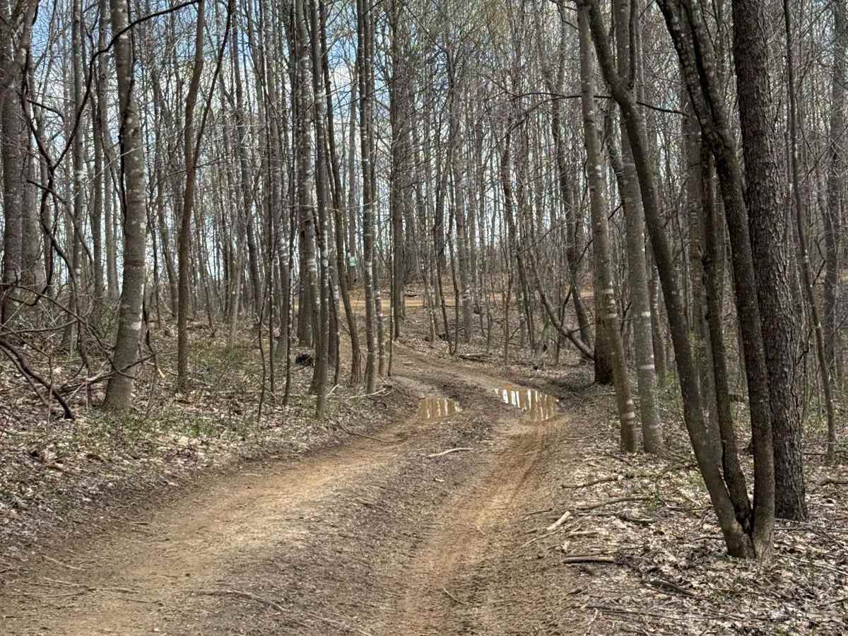 Trail 18 photo 4
