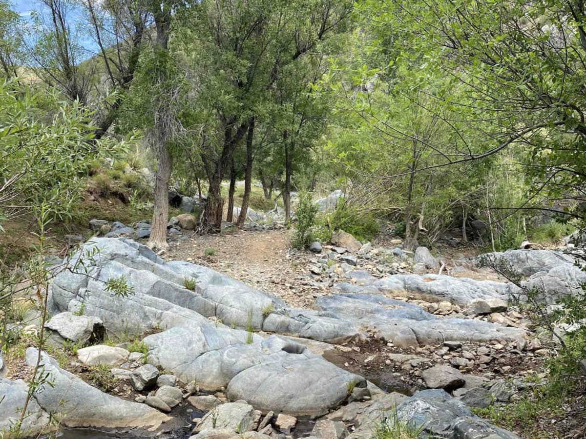 Arrastra Creek photo 5