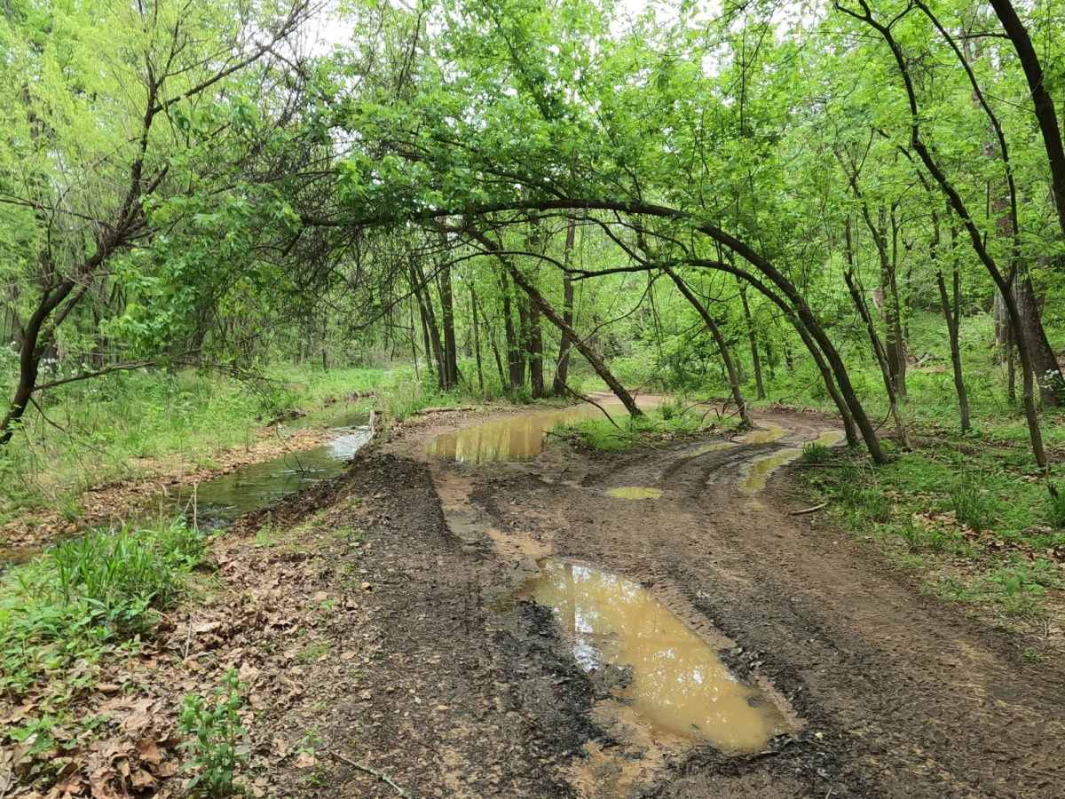 Dafron Branch Trail photo 5