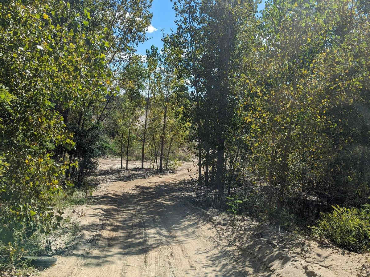 Hill Splitter photo 6