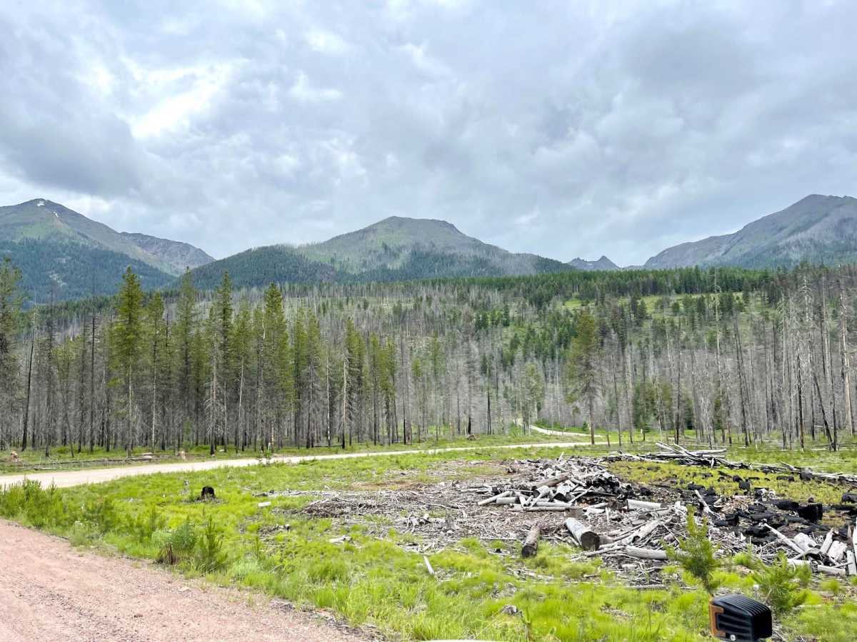 Upper Trail Creek photo 3
