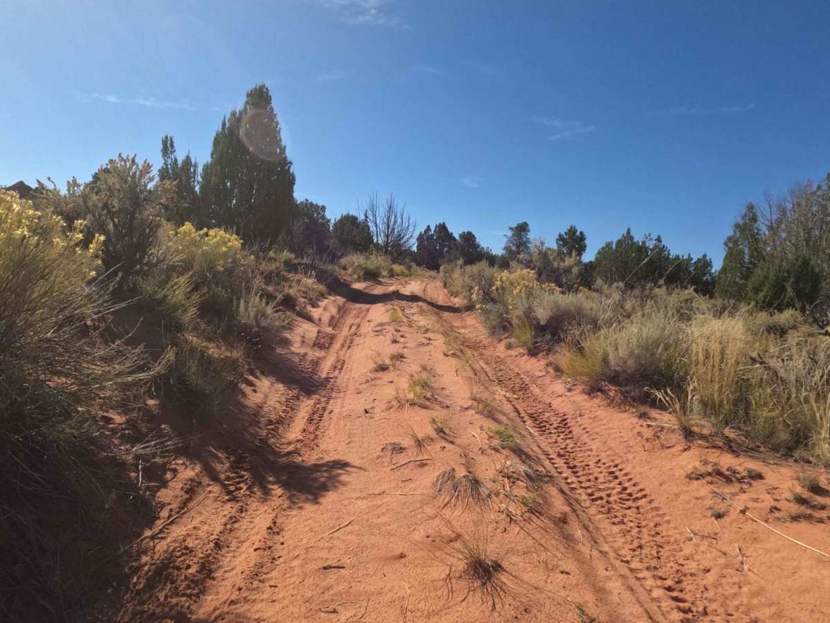 Ladder Reservoir Road (1080) photo 3