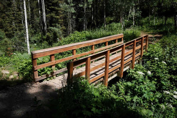 Bear Canyon #5123 