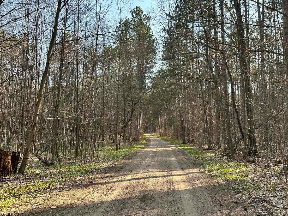 Cadillac Area ORV/OHV Scenic Ride - Part 4 photo 5