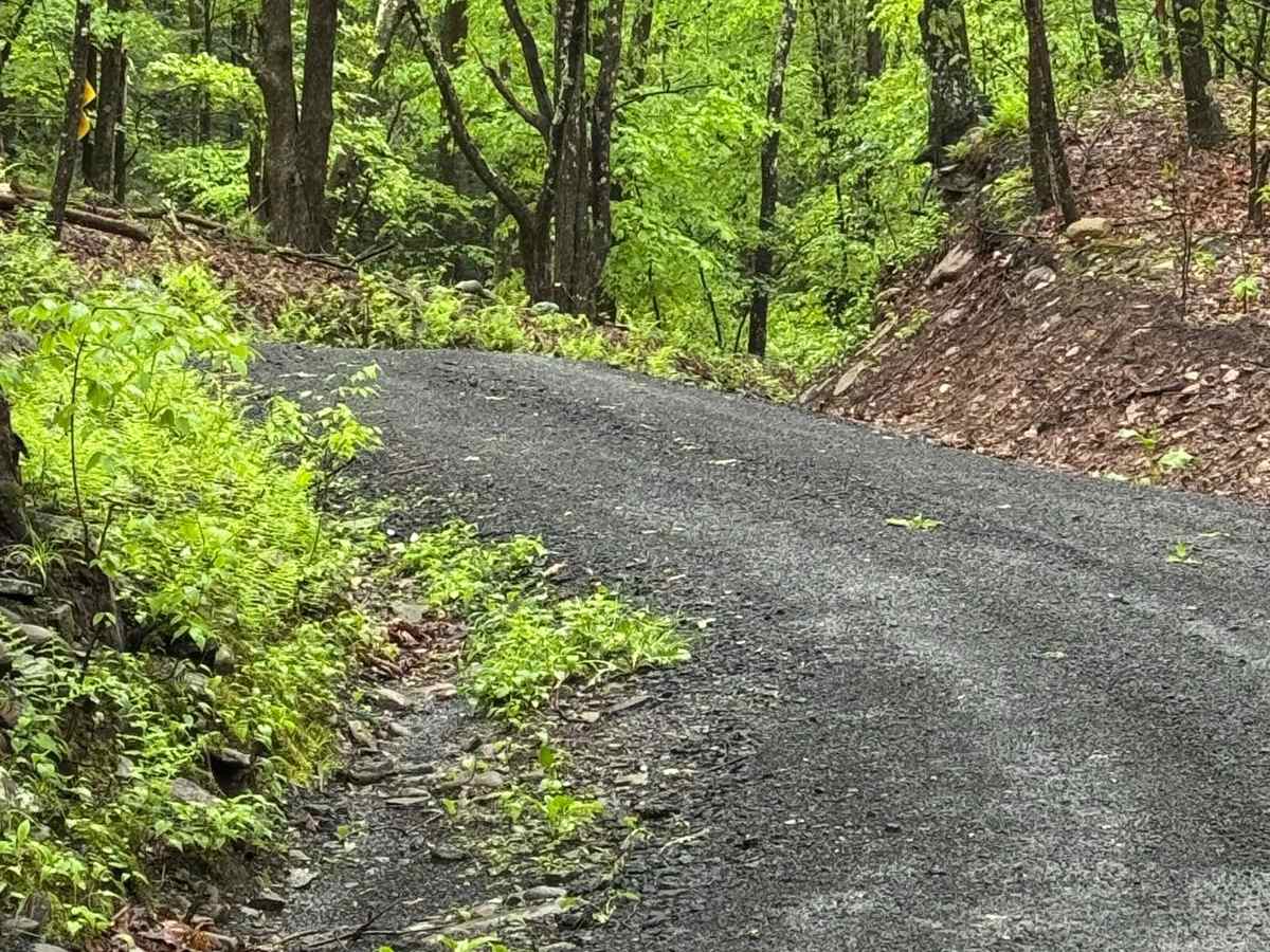 Denman Mountain Rd trail photo
