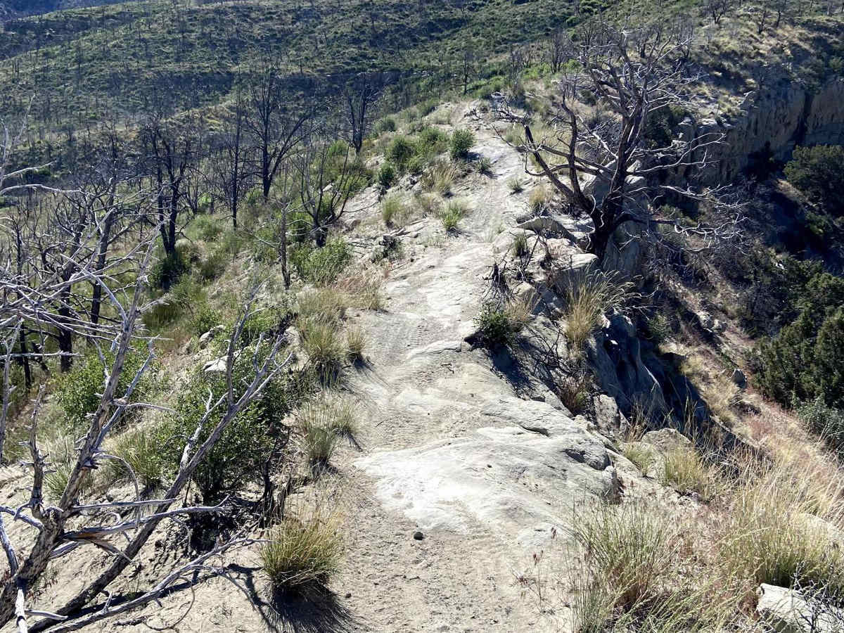 Skywalker trail photo