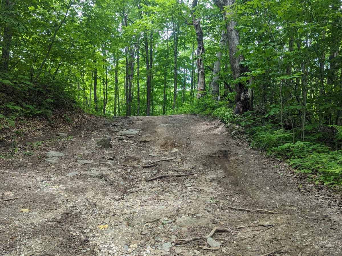 Adams Road trail photo