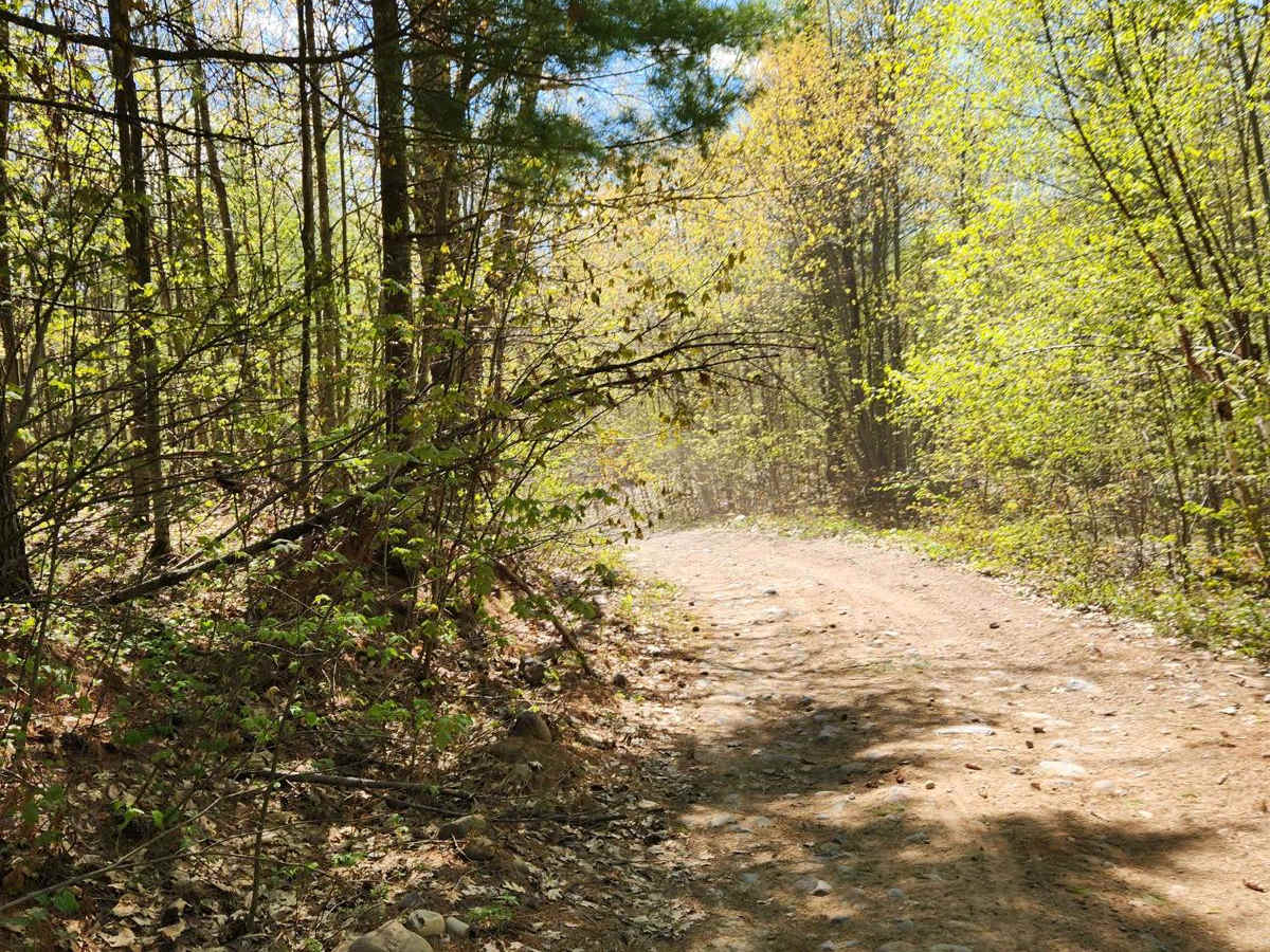 Tuscobia State Trail - Park Falls to Loretta photo 3