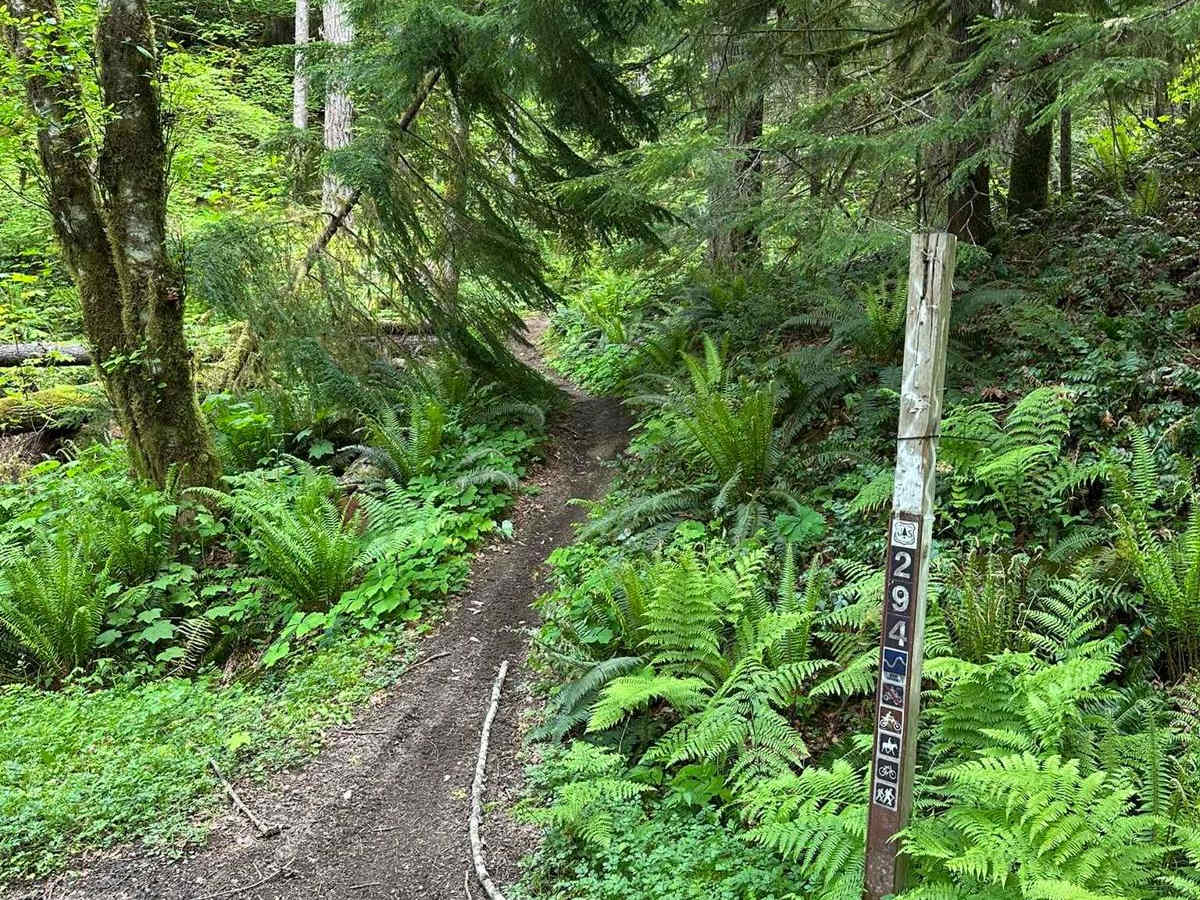 Tongue Mtn photo 3