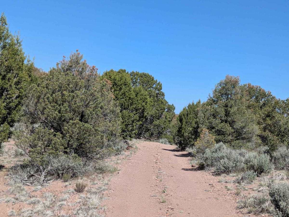 BLM 30228 photo 3