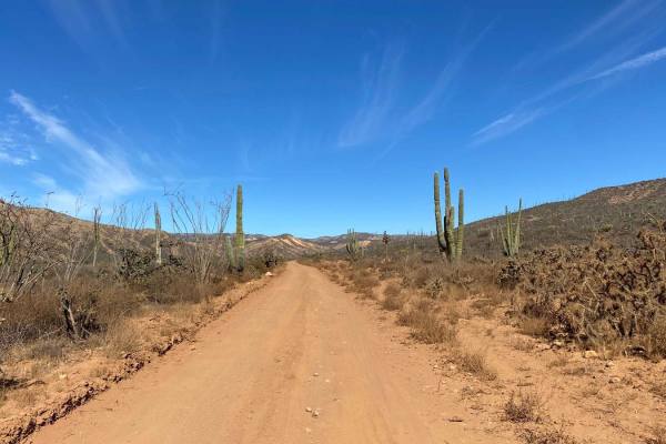 San Quintin Connection