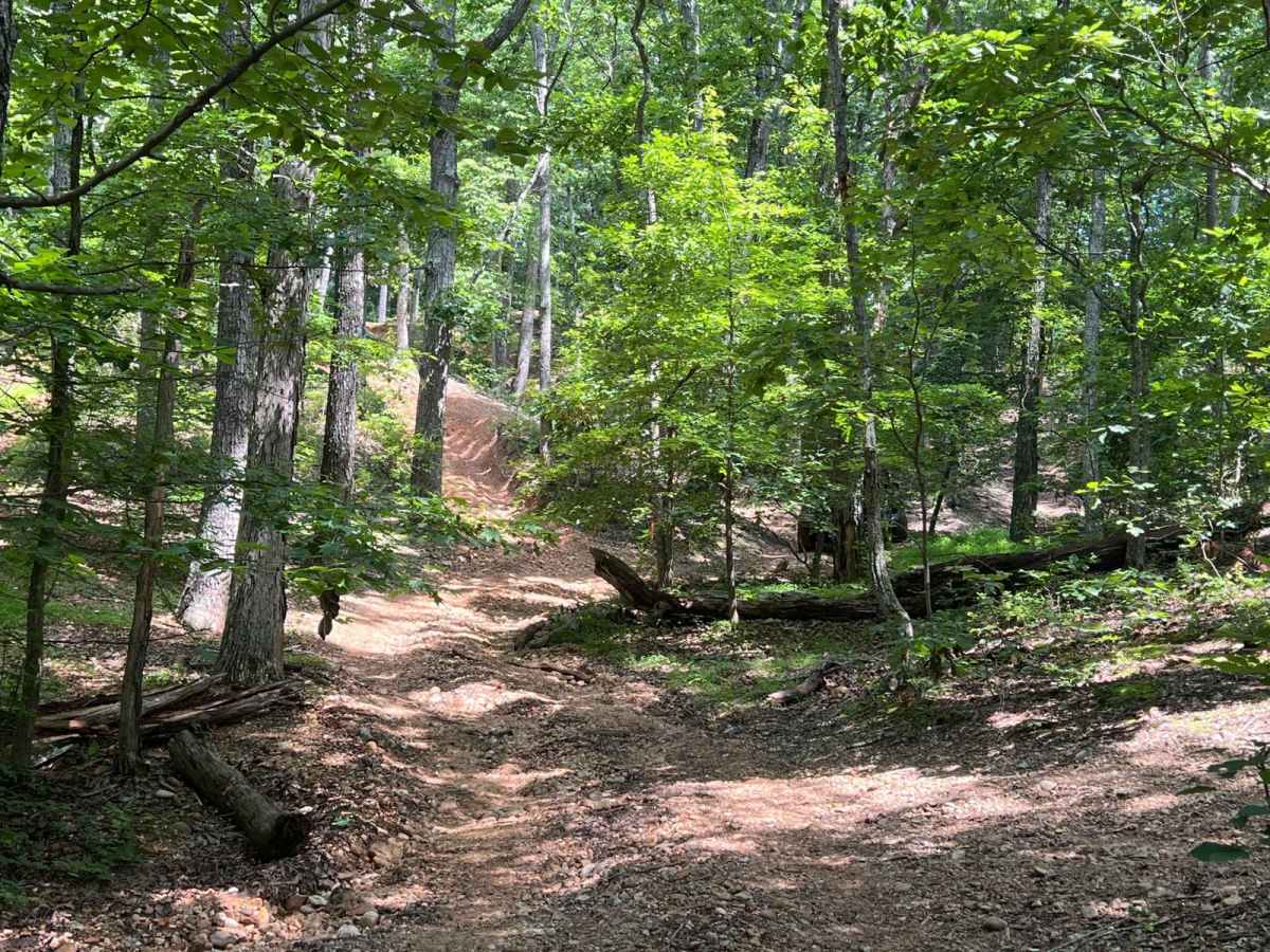 Turkey Bay OVH 5203 and 5208 photo 2