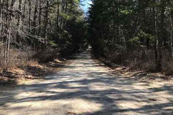 Muddy Road Trail