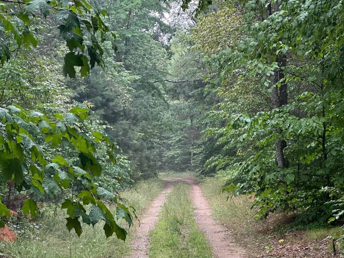 Brozofsky Road trail photo
