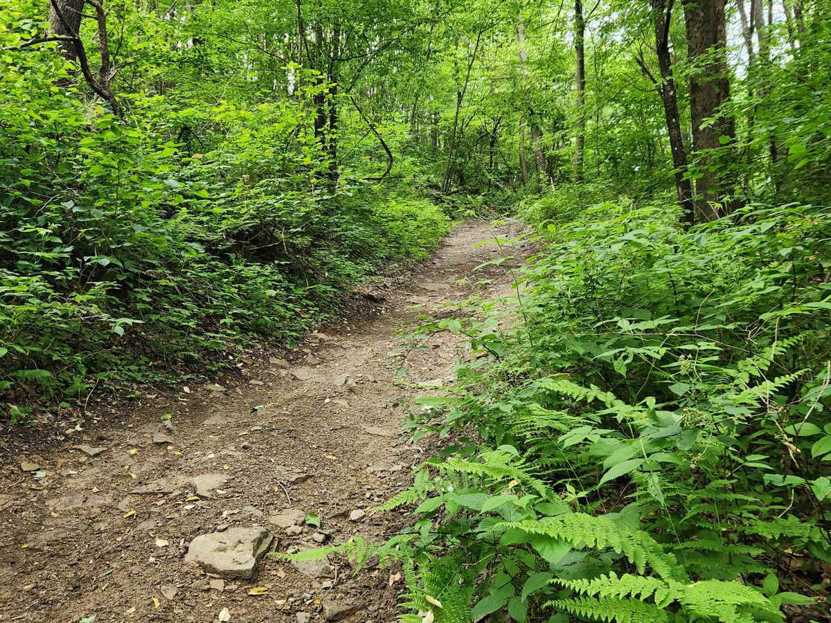 Trail 3H - Rock Run Recreation Area photo 6