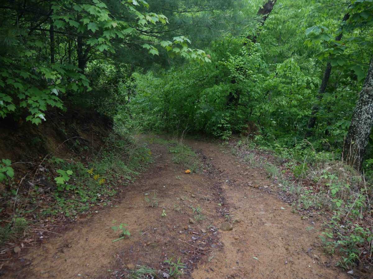 CC71 photo 5