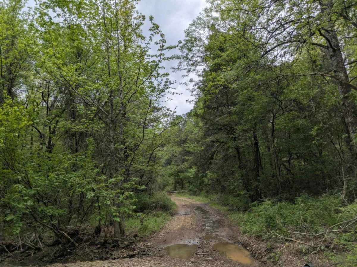 White Creek photo 6