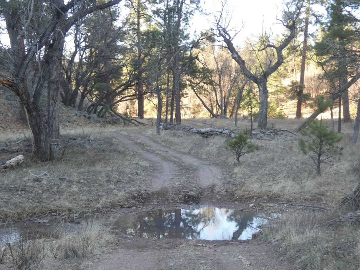 House Mountain Road photo 4