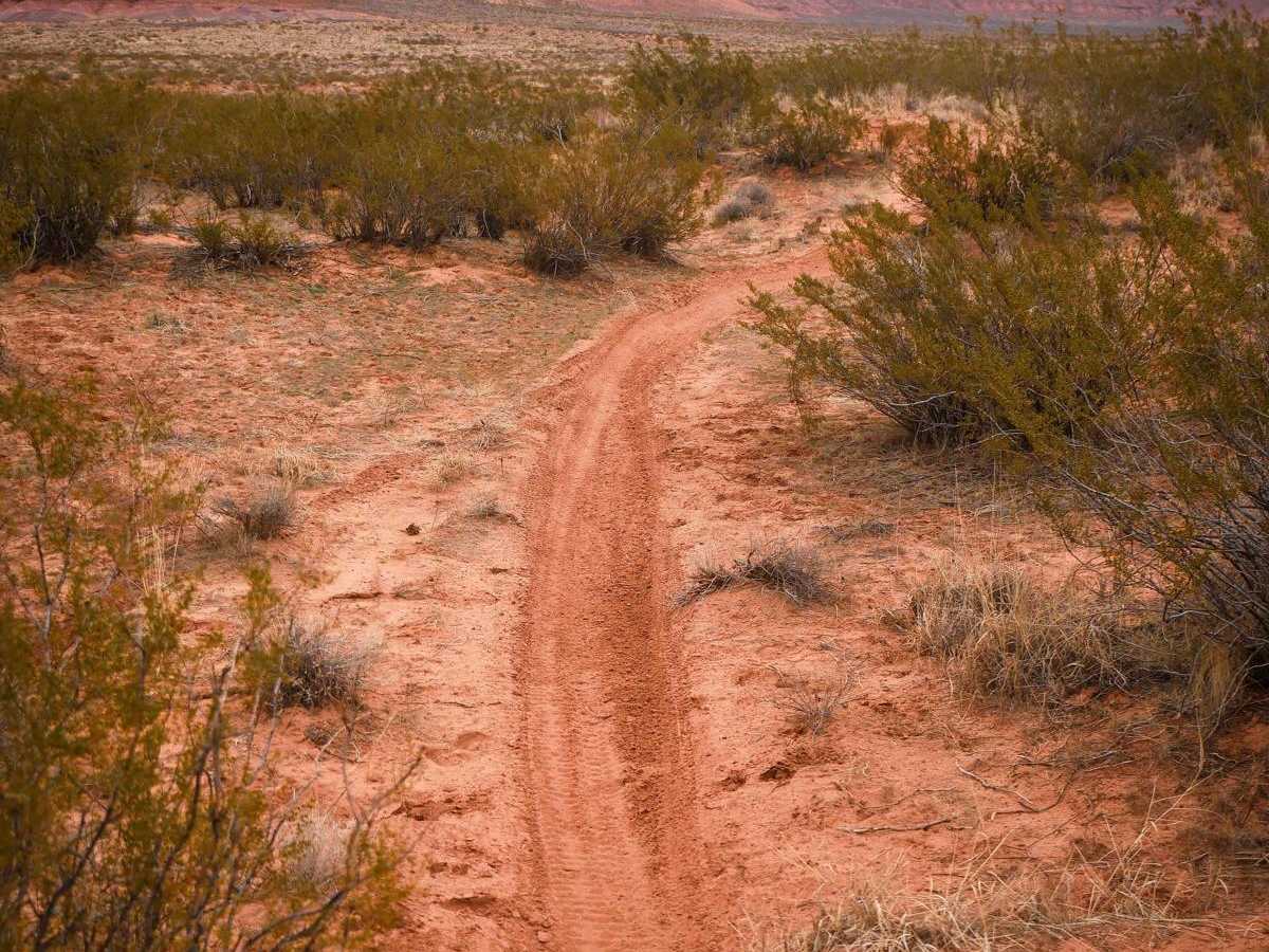 Access Single Track trail photo