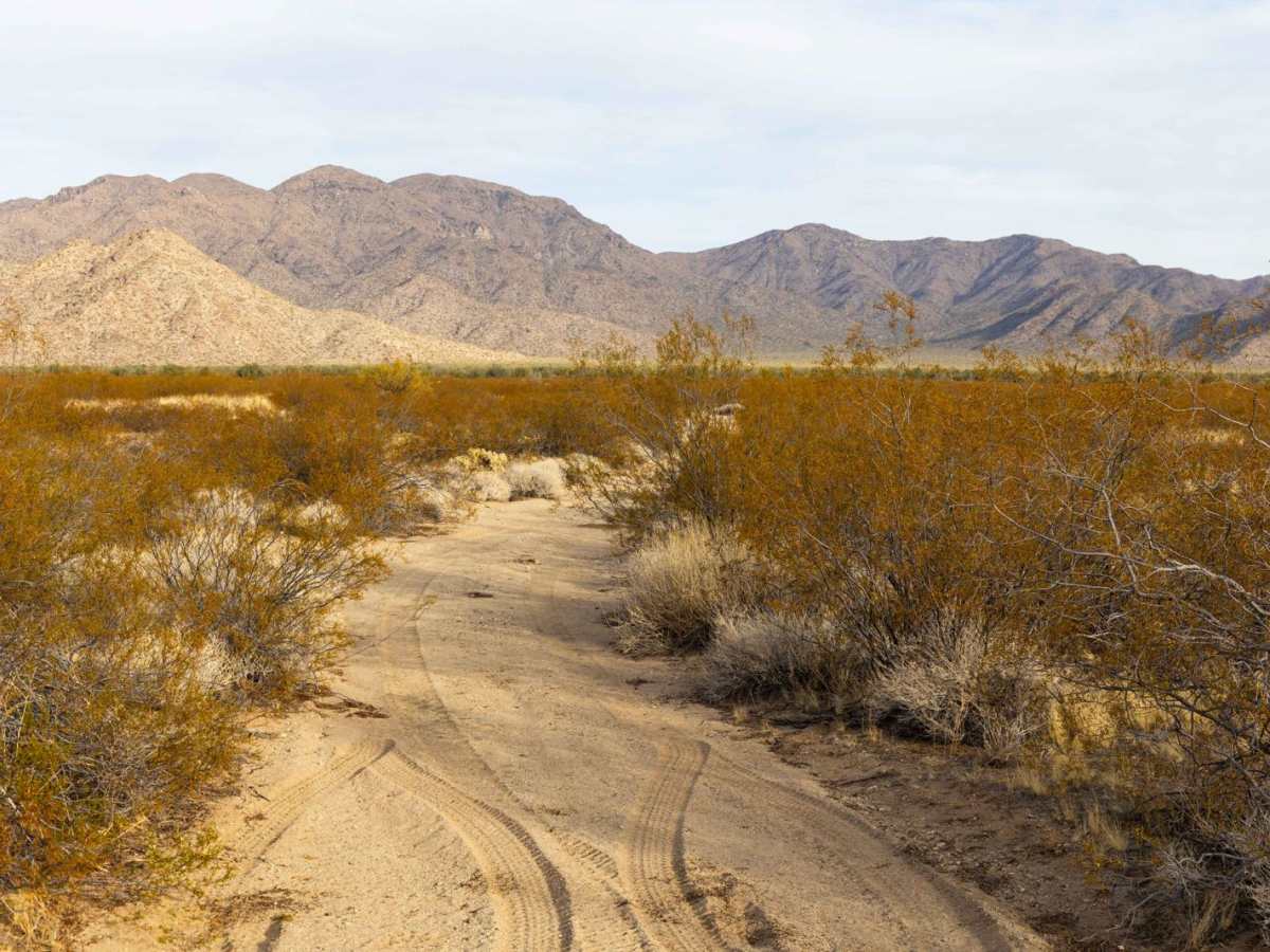Hs089 trail photo