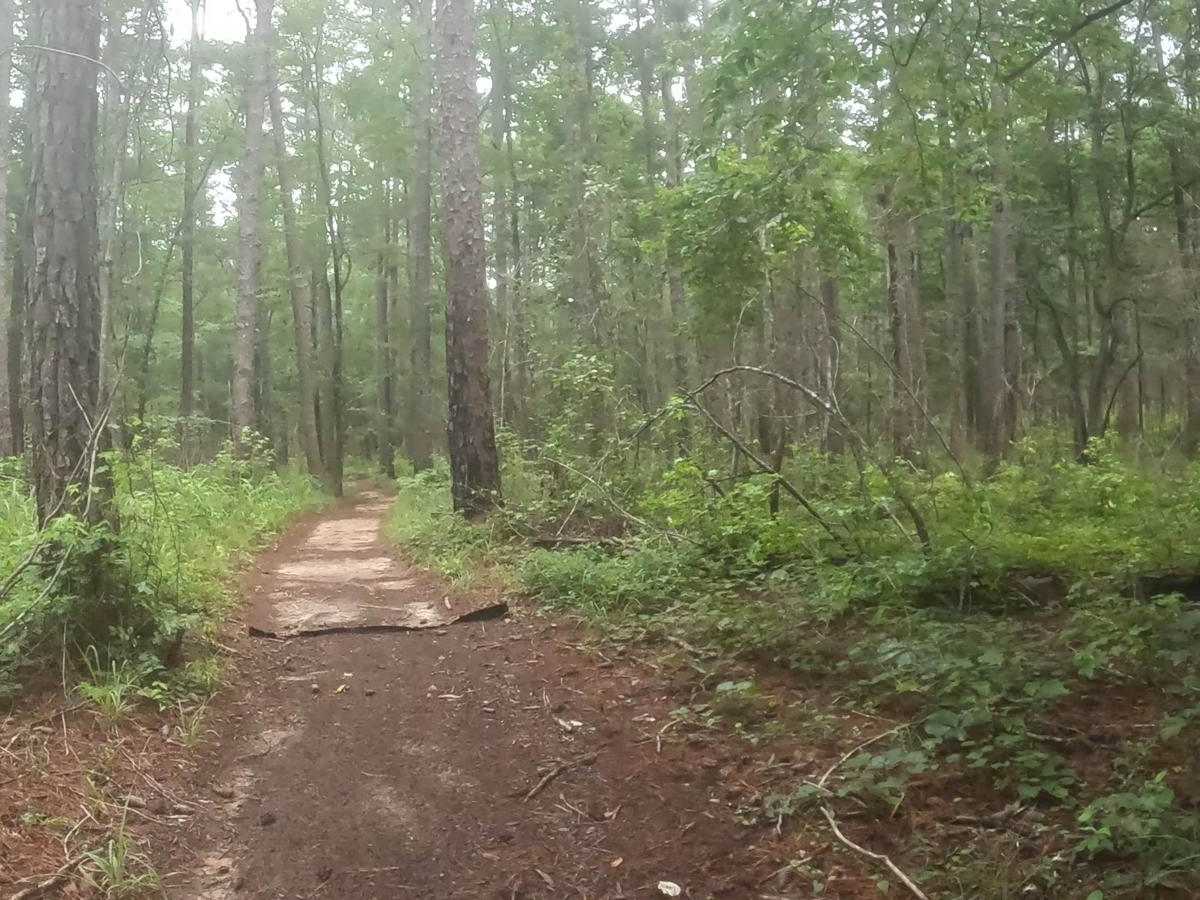 B Loop trail photo