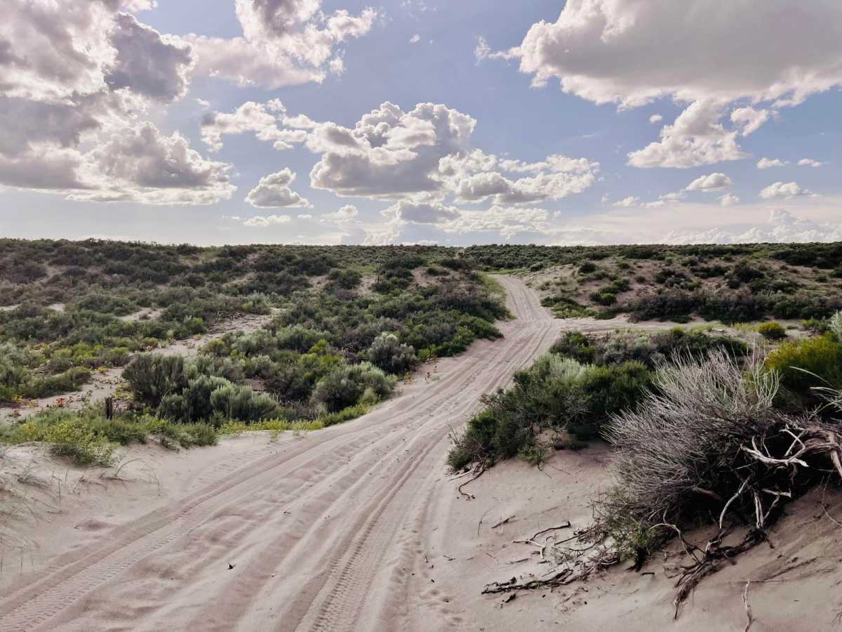 St. Anthony Sand Dunes Western Access trail photo