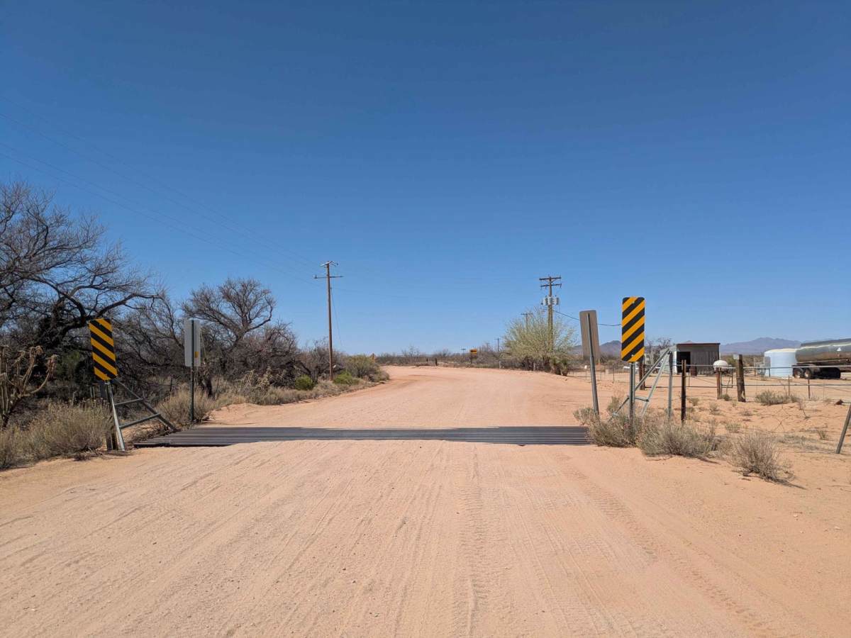 SS1181 photo 5